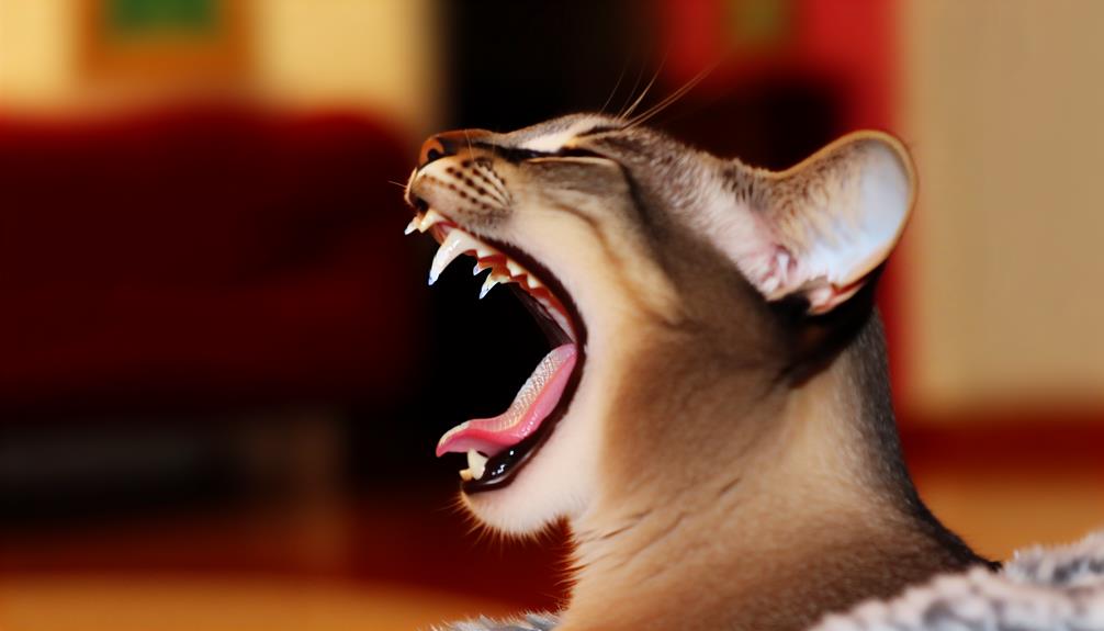 cats have 30 teeth